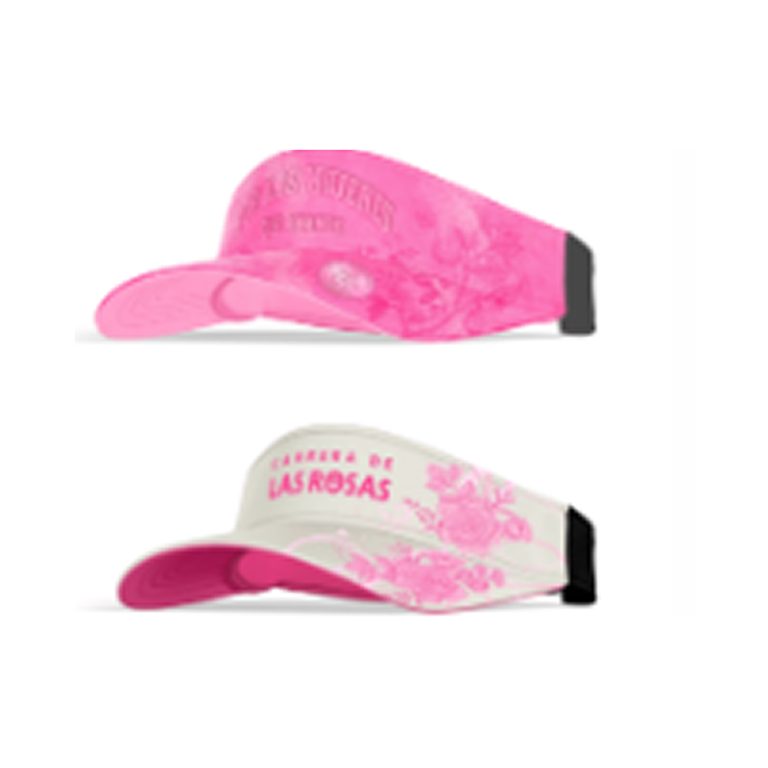 Visera 2026